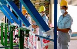 “Vua” lương thực miền Nam đã bán bao nhiêu gạo trong năm 2023?