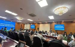 Cục XNK đưa giải pháp ‘thoát hiểm’ cho doanh nghiệp Việt