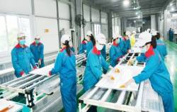 Gỡ khó cho doanh nghiệp, chỉ giảm thuế là chưa đủ