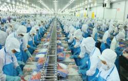 Vĩnh Hoàn đạt mức doanh thu 921 tỷ đồng trong tháng 1/2024