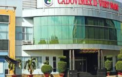 Lỗ triền miên, âm vốn 1.400 tỷ, mất khả năng thanh toán nợ 400 tỷ cho BIDV, Vietcombank, Agribank