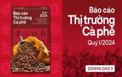 [Báo cáo] Thị trường cà phê quý I/2024: Những kỷ lục mới liên tục được thiết lập