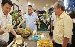 Cơ sở nào để Bầu Đức, Minh Phú… đặt mục tiêu kiếm lợi nhuận ngàn tỉ?