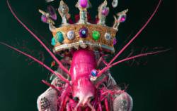 1 DN tôm bất ngờ vươn lên chiếm ngôi vương lợi nhuận của ngành, EPS đột biến gần 70.000 đồng, giá trị sổ sách 370.000 đồng/cp, cổ tức 100%/năm