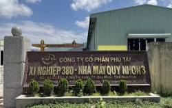 Lợi nhuận của Phú Tài sụt mạnh sau kiểm toán do phải trích lập dự phòng 43 tỷ đồng khoản phải thu với Noble House