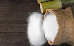 Đại gia ngành đường ‘khoe’ lượng vàng SJC và tiền USD đang nắm giữ khi giá đang tăng vùn vụt, báo lãi quý 1/2024 tăng 68%