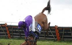 Bị cưỡng chế 1.000 tỷ tiền thuế, báo lỗ 2 quý liên tiếp, cổ phiếu vẫn tăng trần 3 phiên