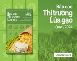 Xuất khẩu gạo thiết lập kỷ lục mới