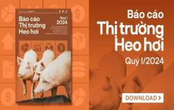 Giá tăng vì nhu cầu mạnh nhờ các dịp lễ, Tết