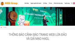 Xuất hiện kẻ lừa đảo số tiền lớn đầu tư vào Hoàng Anh Gia Lai, công ty cảnh báo