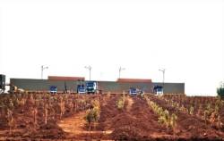 Kẹt giữa kho báu bô xít