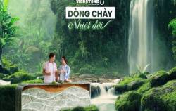 Đá VICOSTONE® ra mắt bộ sưu tập mới “Dòng chảy nhiệt đới”
