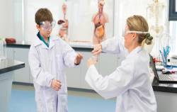 Phụ huynh lựa chọn cho con chương trình Tú tài Quốc tế IB ngay từ tiểu học