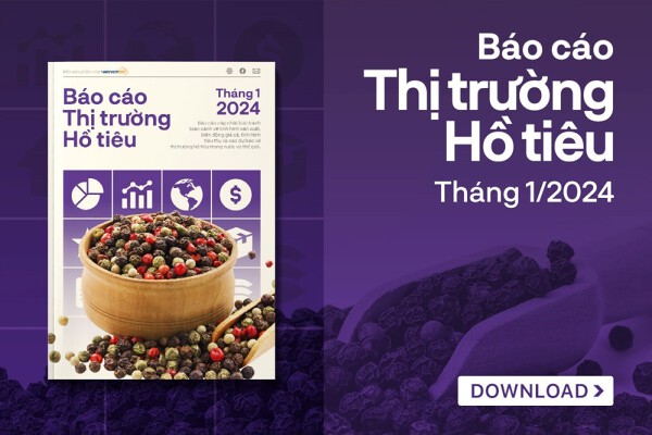 Giá tiêu chạm đỉnh 7 năm do lo ngại thiếu hụt nguồn cung