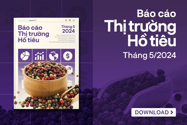 Đà tăng của giá tiêu sẽ chậm lại?