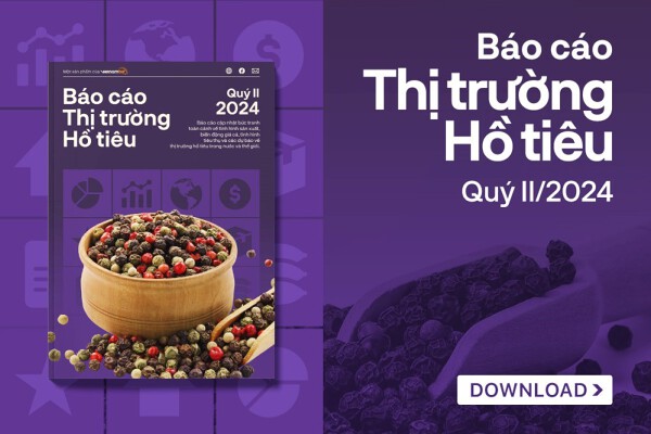 Giá tăng chưa từng có, căng thẳng cung cầu vẫn hiện hữu