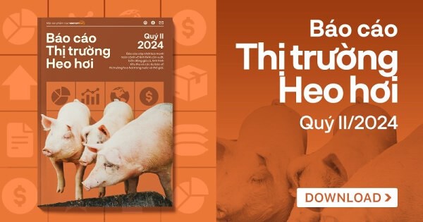 Nguồn cung giảm vì dịch ASF kéo giá tăng cao