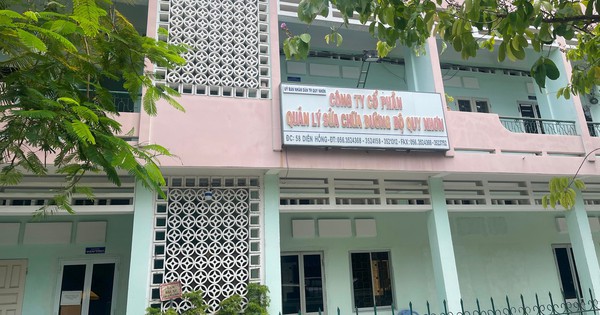 Khởi tố vụ án tham ô tài sản tại doanh nghiệp tự ý chiếm dụng 2,2 ha đất ở Quy Nhơn