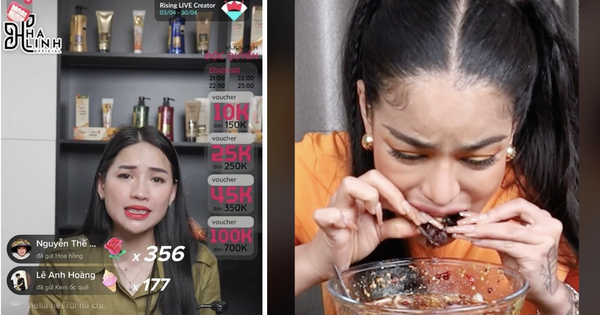 “Chiến thần” Võ Hà Linh góp công giúp TikTok Shop vượt Lazada, nâng quy mô TMĐT Việt Nam vượt Philippines, vươn lên Top 3 Đông Nam Á