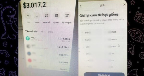 Chiêu ‘lộ’ mật khẩu ví để dụ đăng nhập, lừa tiền số