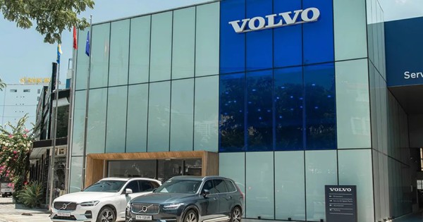 Tasco thâu tóm thêm 1 DN nhập khẩu ô tô có lợi nhuận vài trăm tỷ mỗi năm, đứng Top 3 thị phần xe sang Việt Nam