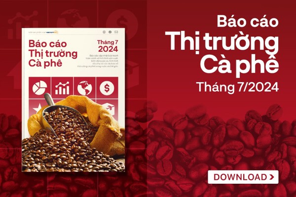 [Báo cáo] Thị trường cà phê tháng 7/2024: Đà tăng giá cà phê vẫn chưa dừng lại