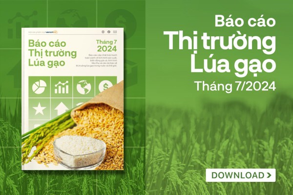 Xuất khẩu gạo khởi sắc trở lại, giá có xu hướng tăng lên