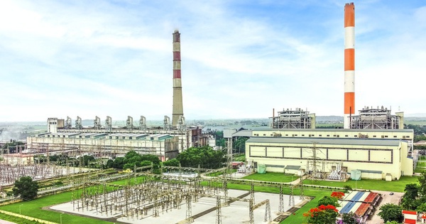Công ty con của REE thoái vốn Nhiệt điện Phả Lại bất thành