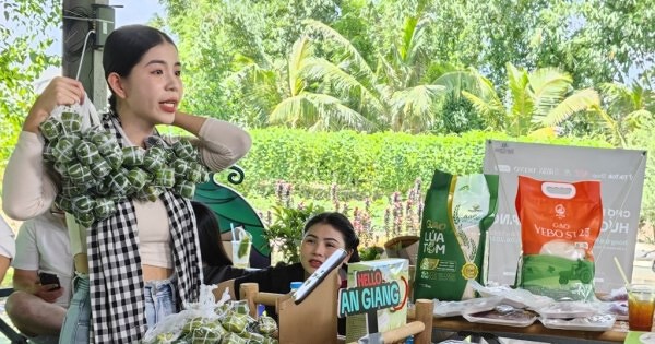 Những TikToker triệu đô bắt đầu từ con số 0