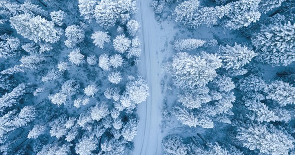 Gáo nước lạnh từ sai phạm tài chính của startup và ‘Mùa đông đầu tư’ của các quỹ mạo hiểm