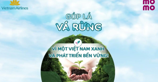 70 ngày và hành trình phủ xanh hơn 27 hecta rừng của Vietnam Airlines