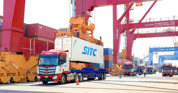 THILOGI đẩy mạnh dịch vụ xuất khẩu sầu riêng chính ngạch qua cảng Chu Lai