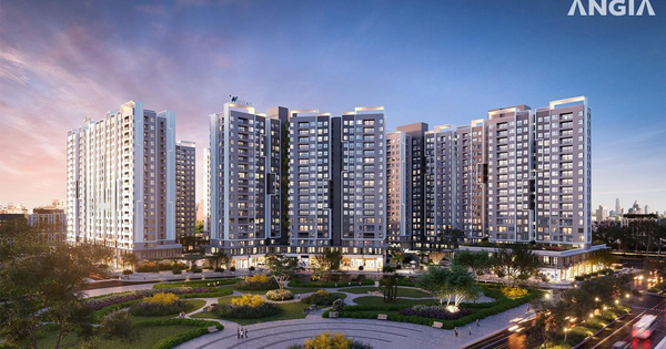 Nợ thuế hơn 102 tỷ đồng, công ty con của An Gia (AGG) bị cưỡng chế dừng thủ tục hải quan