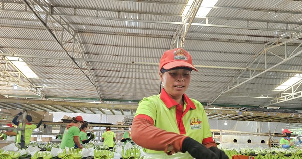 ‘Giờ tôi ngồi một chỗ cũng có đơn hàng’