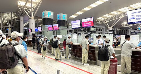 Nhiều doanh nghiệp xuất khẩu lao động vừa bị xử phạt