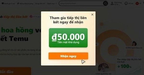 Người khoe kiếm được hàng trăm triệu từ “làn sóng kiếm tiền mới”, người thất vọng vì giá không rẻ, giao hàng chậm