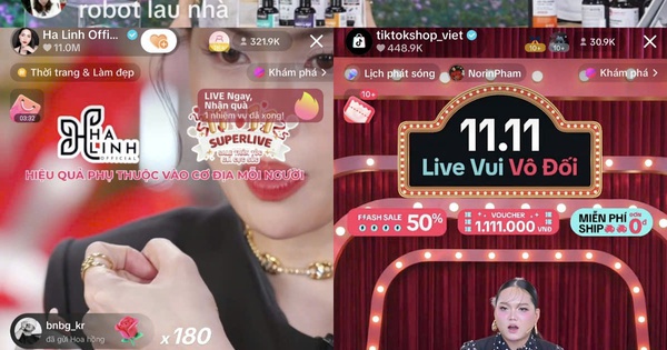 Các “chiến thần livestream” thắng lớn, Phạm Thoại chốt gần 200.000 đơn dịp 11-11
