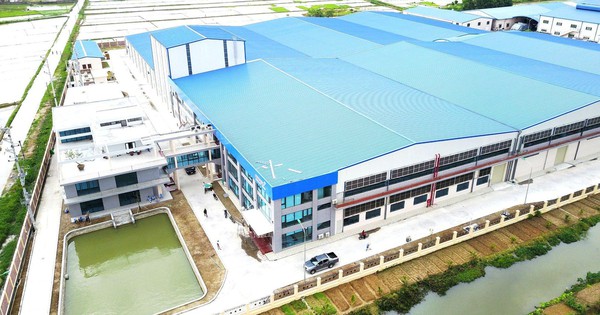 LOCKVIT: Giải pháp bảo vệ công trình trước giông bão